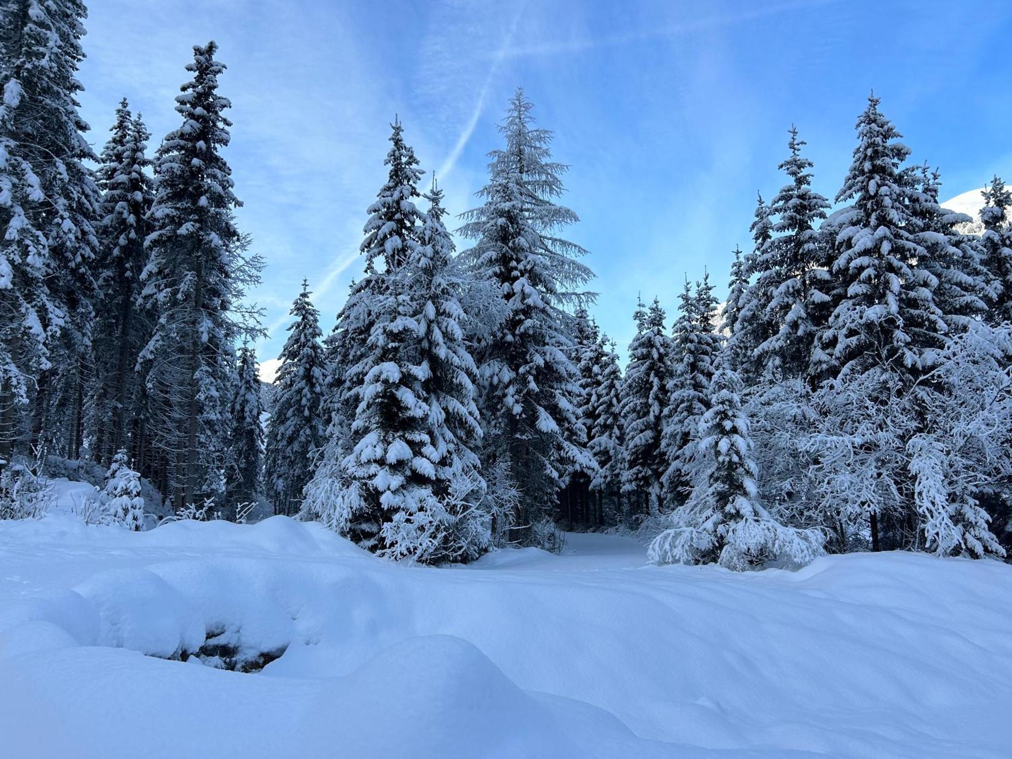 Haus Waldblick Appartement Hopfgarten in Defereggen Buitenkant foto